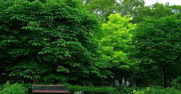 重庆风水大师