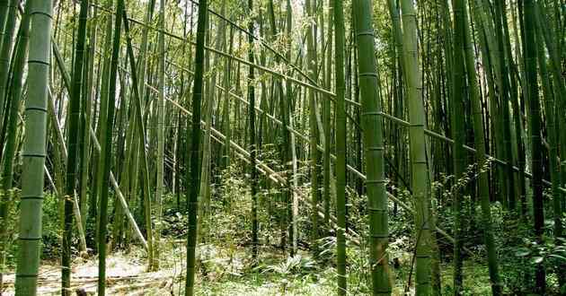 重庆风水大师