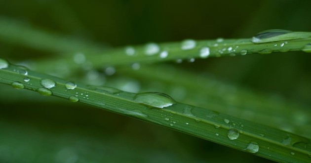 广东风水大师