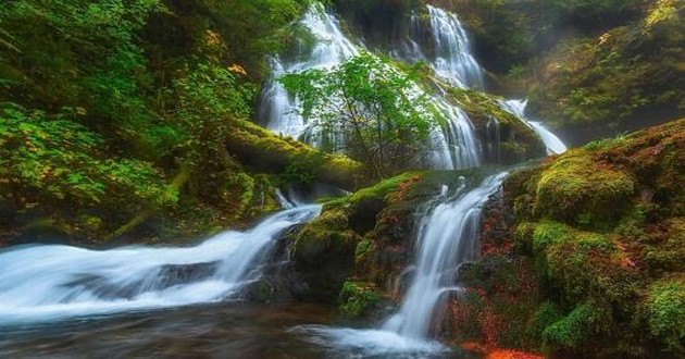 深圳风水大师