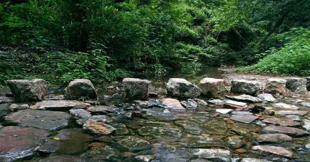 深圳风水大师