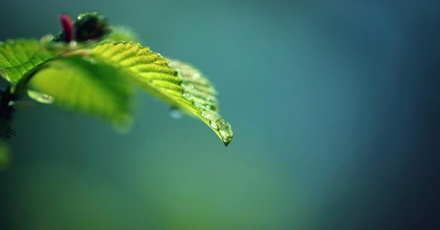 深圳风水大师