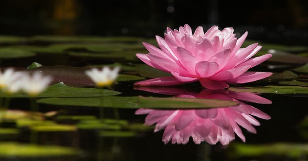 深圳风水大师