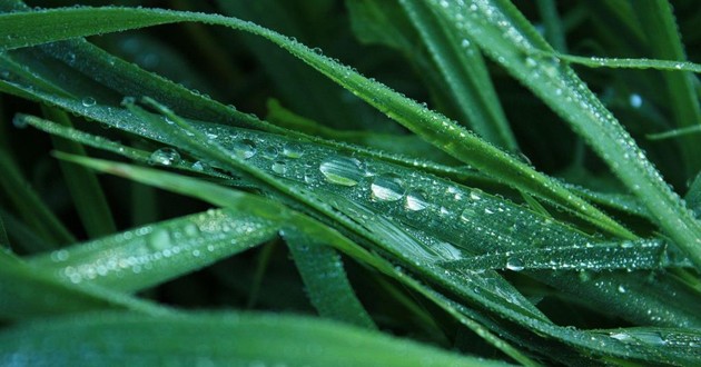 杭州风水大师