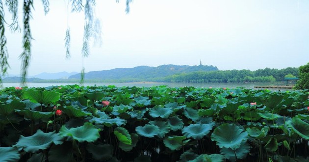 杭州风水大师