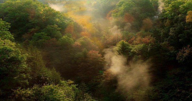 山东风水大师