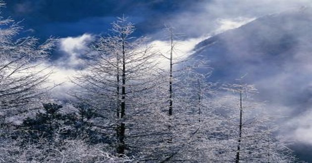 山东风水大师