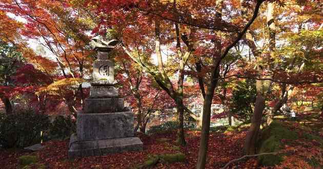 山东风水大师