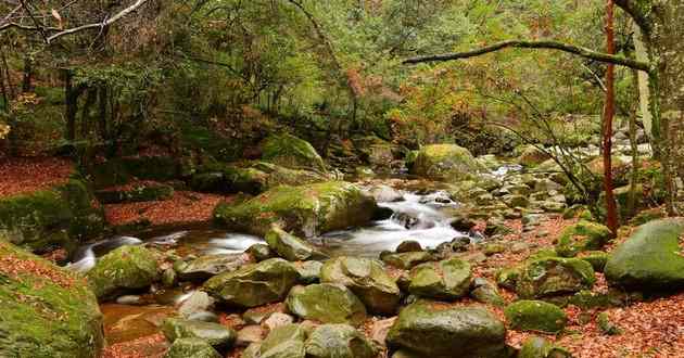 山东风水大师