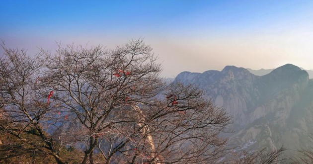 山东风水大师