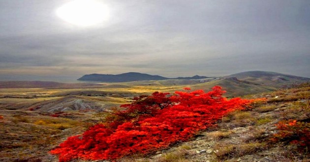 山东风水大师