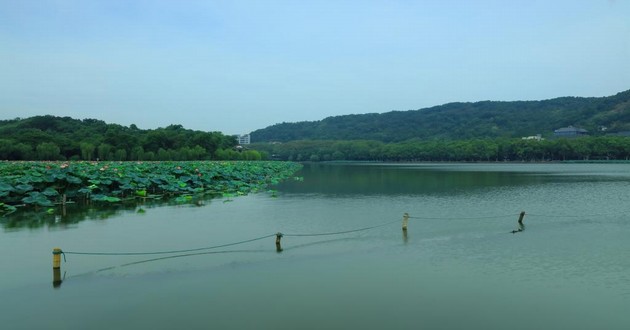 山东风水大师