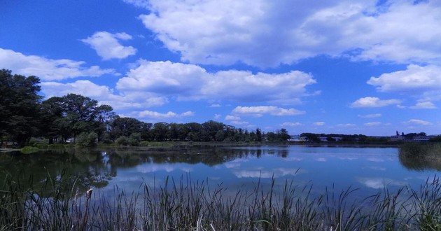 山东风水大师