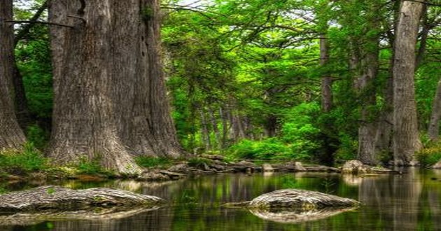 山东风水大师