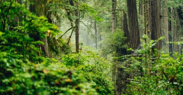 山东风水大师