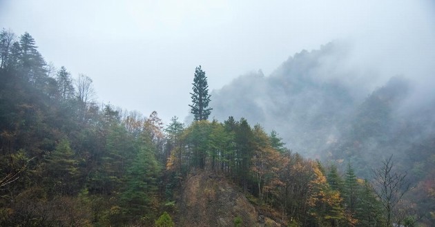 北京风水大师