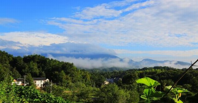 北京风水大师